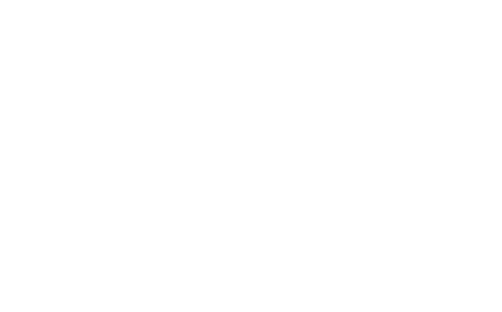 THE IVES COMPANY